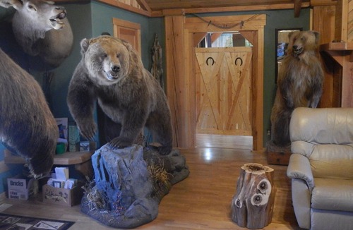 Meeteetse Bed & Breakfast | Quiet ranch setting over looking the Greybull River valley with mountain views