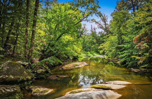 Mount Airy Cabin | Riverfront Log Cabin | Pool, Hot Tub, Tree Fort, Game Room, Fire Pit, Disc Golf