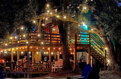Picayune Cabin | Sleep with the birds, in a cabin aloft in the oaks.