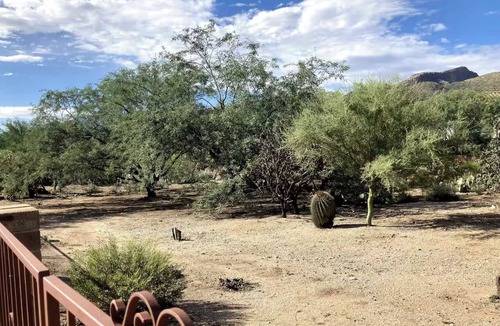 Tanque Verde Apartment | Spacious Attached Studio in Bear Canyon Home on Quiet 4 Acres