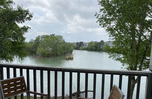 Southbelt/Ellington Apartment | Spacious lakeside apartment minutes from Hobby, NASA, Downtown