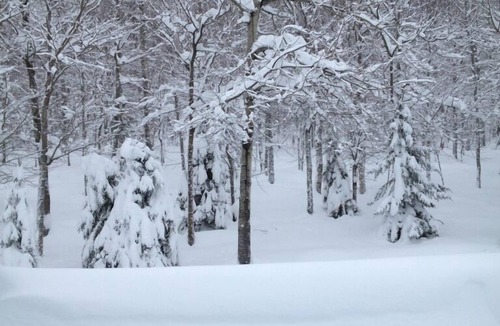 Carrabassett Valley Condo | Sugarloaf Mountainside Ski In/Ski Out, 3 Bedroom, 3 Bath Condominium