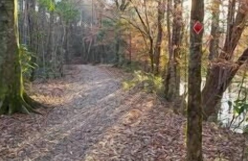 Talisheek RV Rental | Tentrr State Park Site - Louisiana Bogue Chitto State Park - Bonner Creek M - Si
