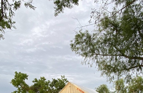 Mandeville RV Rental | Tentrr State Park Site - Louisiana Fontainebleau State Park - Beachside K - Sing