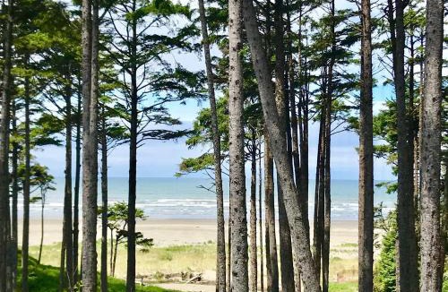 Seabrook House | The Beach House by Seabrook Hospitality