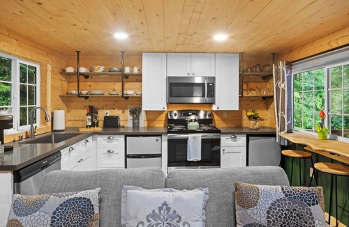 Ashford Cabin | Tiny Cabin B, Steps from Mt. Rainier Nat Park W/firepit close to river & trails