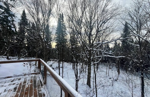 Saint-Faustin-Lac-Carre House | Treehouse between rocks, suspension bridge, rooftop | Lodging #06