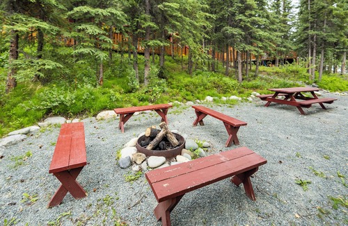 Denali National Park Cabin | Deluxe King w/Sleeper Sofa Dall Suite