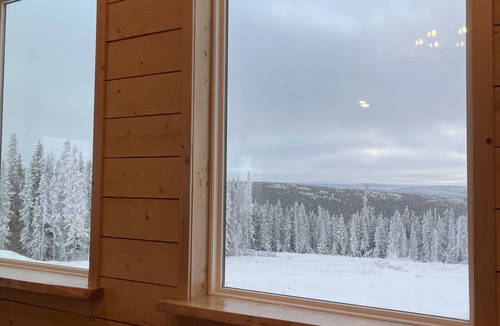 Fairbanks Cabin | View! View! View! Relax in Nature!