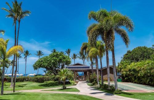 Wailea House | Wailea Ekahi 12D - Budget Friendly Ocean View Studio w/Lanai, Kitchen, WD, & AC