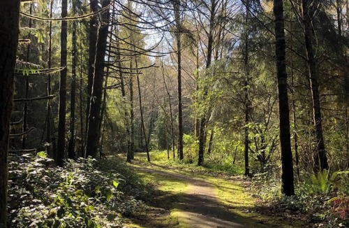 Aberdeen House | Welcome to Mayberry in the Pacific Northwest with WiFi access! Next to Aberdeen.