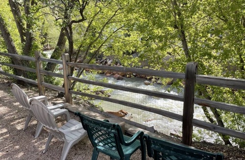 Ouray Condo | Will it be ICE AXE, CRAWLER, NORDIC? 1200MGPS-Mtn Views! On River! BBQ & yard!