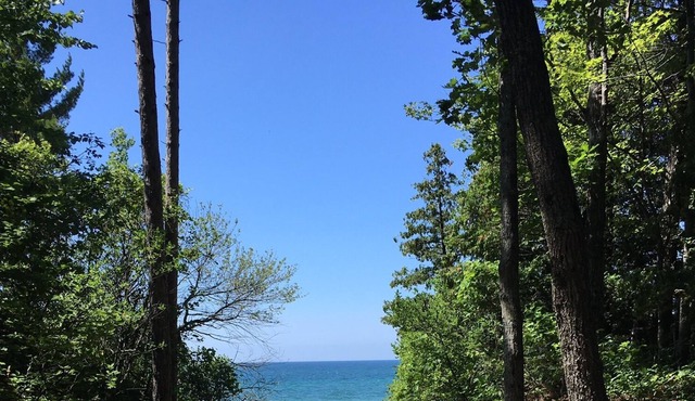 100 m to Bluewater beach and boardwalk. Entire Cottage for the whole family! in Tiny