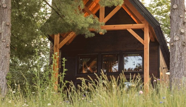 #3 Pinecone Haven in Dahinda