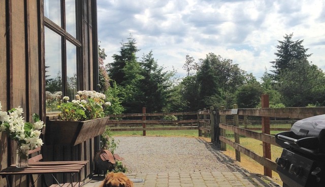 40 Acres Estate, Beach Access, Pet Friendly: Wildwood Studio