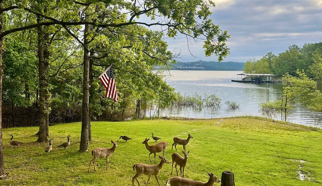 4BR Table Rock Lakefront Lodge w/Hot Tub Sleeps 12 Near Branson Free Group Tickets