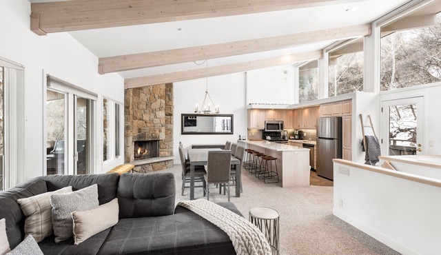 Aspen Alps Two-Bedroom Condo - close to Aspen Mountain