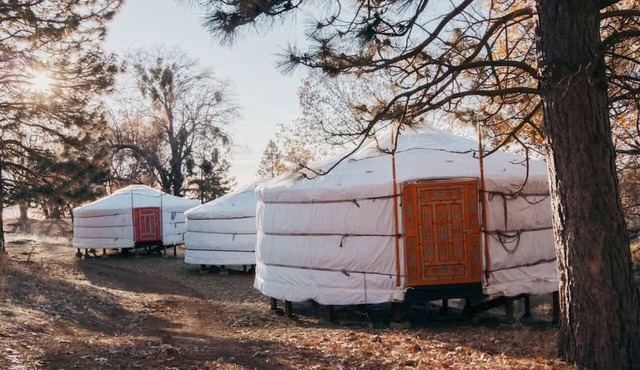 Authentic Mongolian Yurt in Sequoia National Forest, Perfect for a Glamping Retreat in Nature in Dunlap