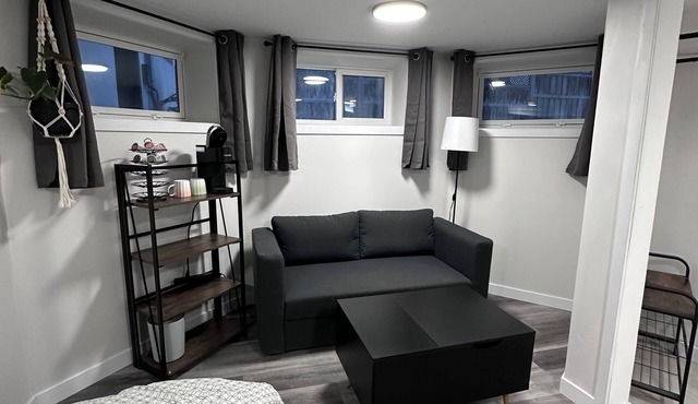 Basement Bachelor Suite