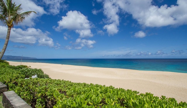 Beachfront Home at the world famous Banzai Pipeline