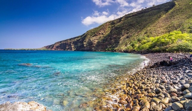 Beautiful Kealakekua Bay Home With Private Pool & Tropical Garden