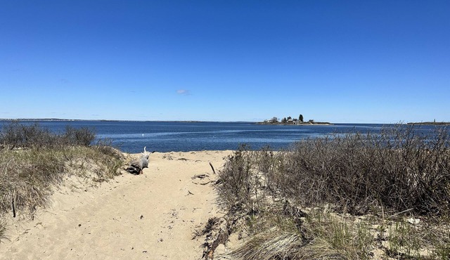 Biddeford Pool Beach Condo - Steps to the Sand - 1BR/1BA in Biddeford