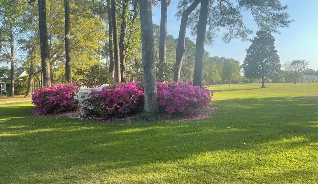 Bring your boat and park on the property! Sloop Point Marina is 5 minutes away!