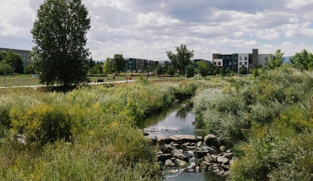 Charming Modern Ranch - Walk to Park and Brews in Arvada