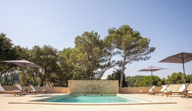 Charming villa with outstanding view on Alpilles in Comps