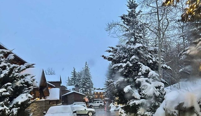 Cozy 1-bedroom condo ski in/out in a beautiful in Snowmass Village.