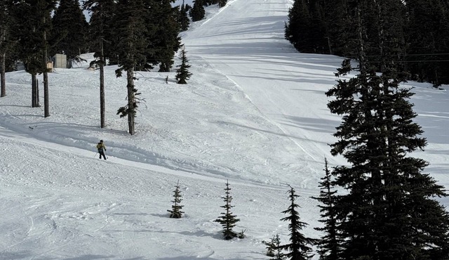 Cozy condo on Mt Washington. Ski, bike, and hike the resort near Comox Valley.