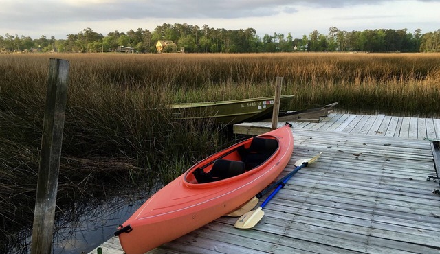 Creekside by the marsh