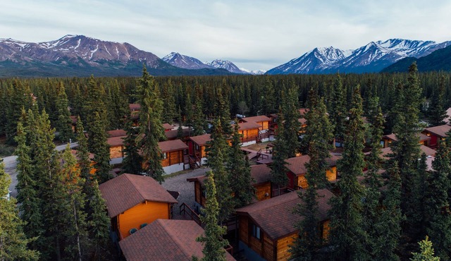 Denali Cabins