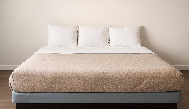 Downtown Wolf Point Stay + Free Parking | Cattlemen's Cut (Casino) - 6.4 miles