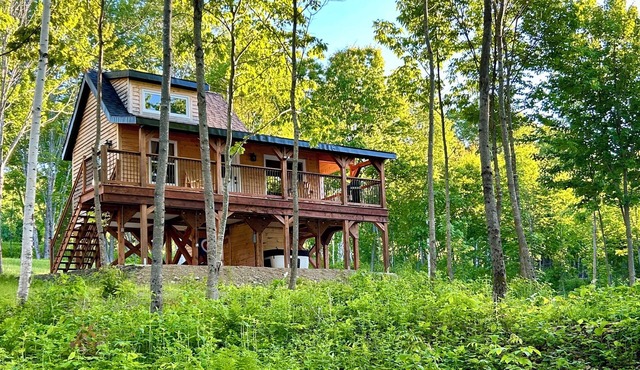 Elevated cabin nestled among the trees, and the Saint John River. Pet friendly. in Ritchie