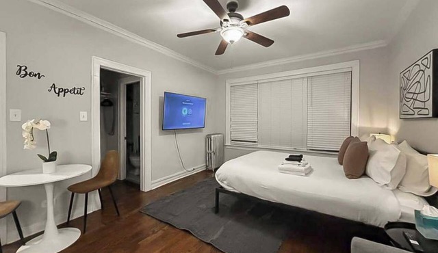 Elevated Hyde Park Studio Unit on Dorchester Ave in Chicago