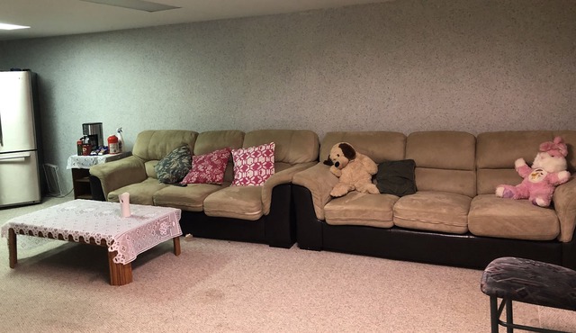 Entire Basement in Thompson