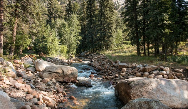 Estes Park Condos
