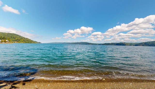 Euphoria on the Fjord