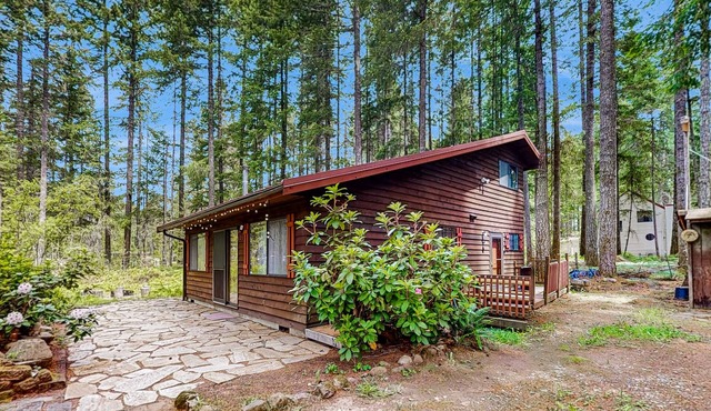 Evergreen getaway with hot tub, gas grill, Wifi and W/D