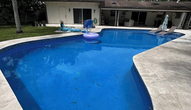 Fantastic Lakefront Home With Private Yard and Pool