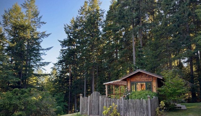 Forest Grove on Orcas: A Cozy Naturalist Retreat