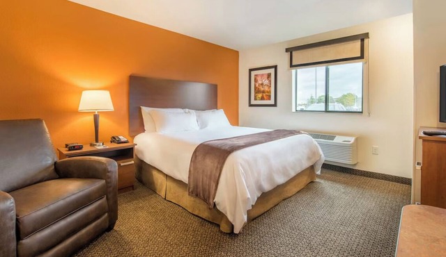 Fully Equipped Rooms with Kitchens, Pet Access, and Convenient Free Parking