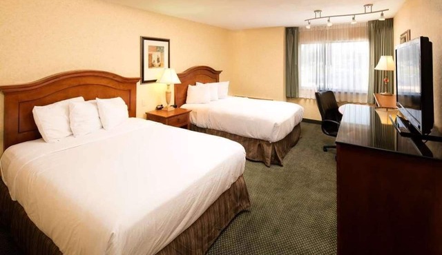 Hassle-free Stay! 2 Pet-friendly Units, Swimming Pool, Free Parking!
