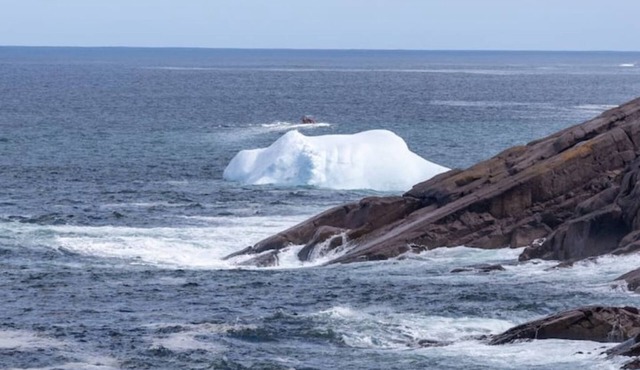 Haven . in Petty Harbour