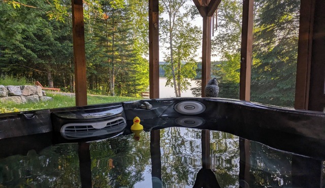 LAKEFRONT COTTAGE/ATV & SKIDOO/cross-country skiing/fat bike, snowshoe, hiking