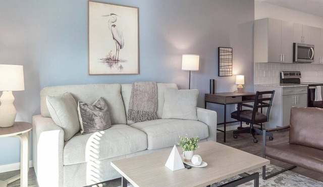 Landing | Spectacular 1BD, Gym, Pool