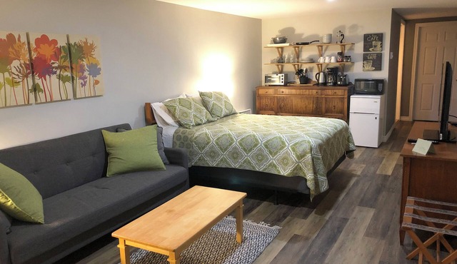 Large self-contained room with private entrance. in Riverview