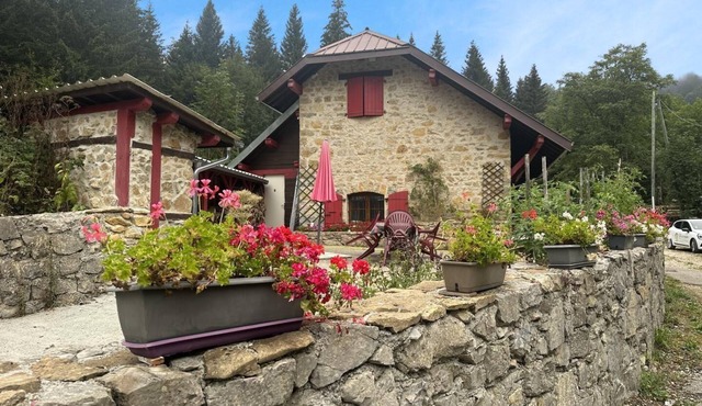 Le Pailly Bas - GEX - Gîte in GEX
