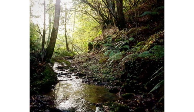 Lodging between forest and streams in Esplas-de-Sérou
